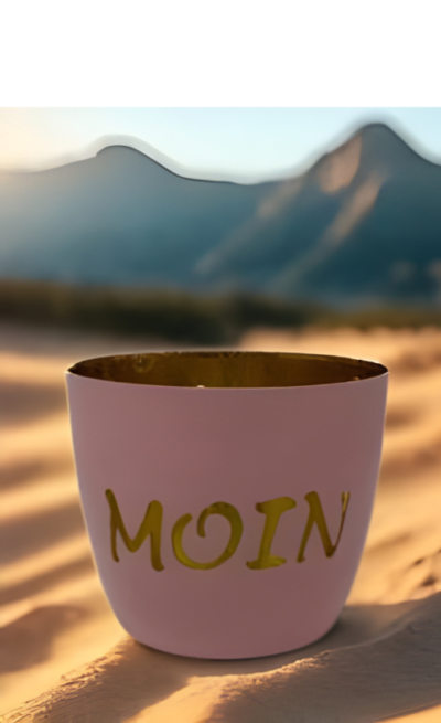 Windlicht Moin Rosa