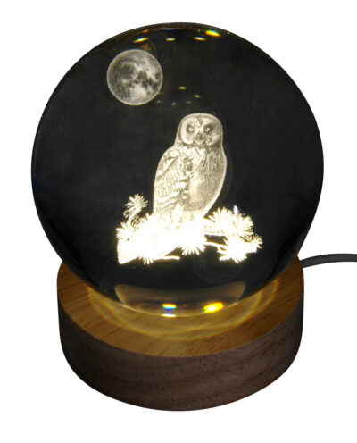 Hologramm Glaskugel Eule inkl. Holz LED-Untersetzer