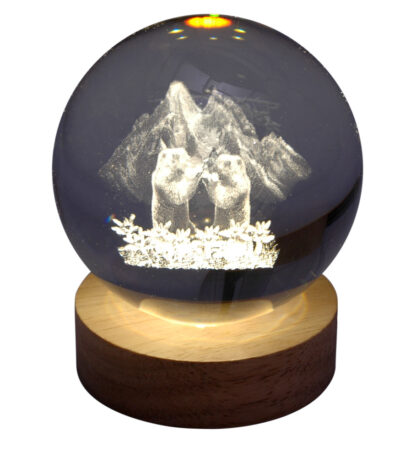 Hologramm Glaskugel Murmeltier inkl. Holz LED-Untersetzer